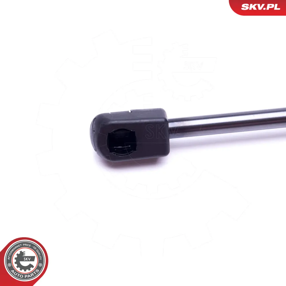 Portellone pneumatico, Cofano bagagli per Ford Focus I (DAW DBW) 1150277