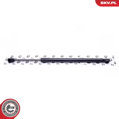 Portellone pneumatico, Cofano bagagli per Ford Focus I (DAW DBW) 1150277