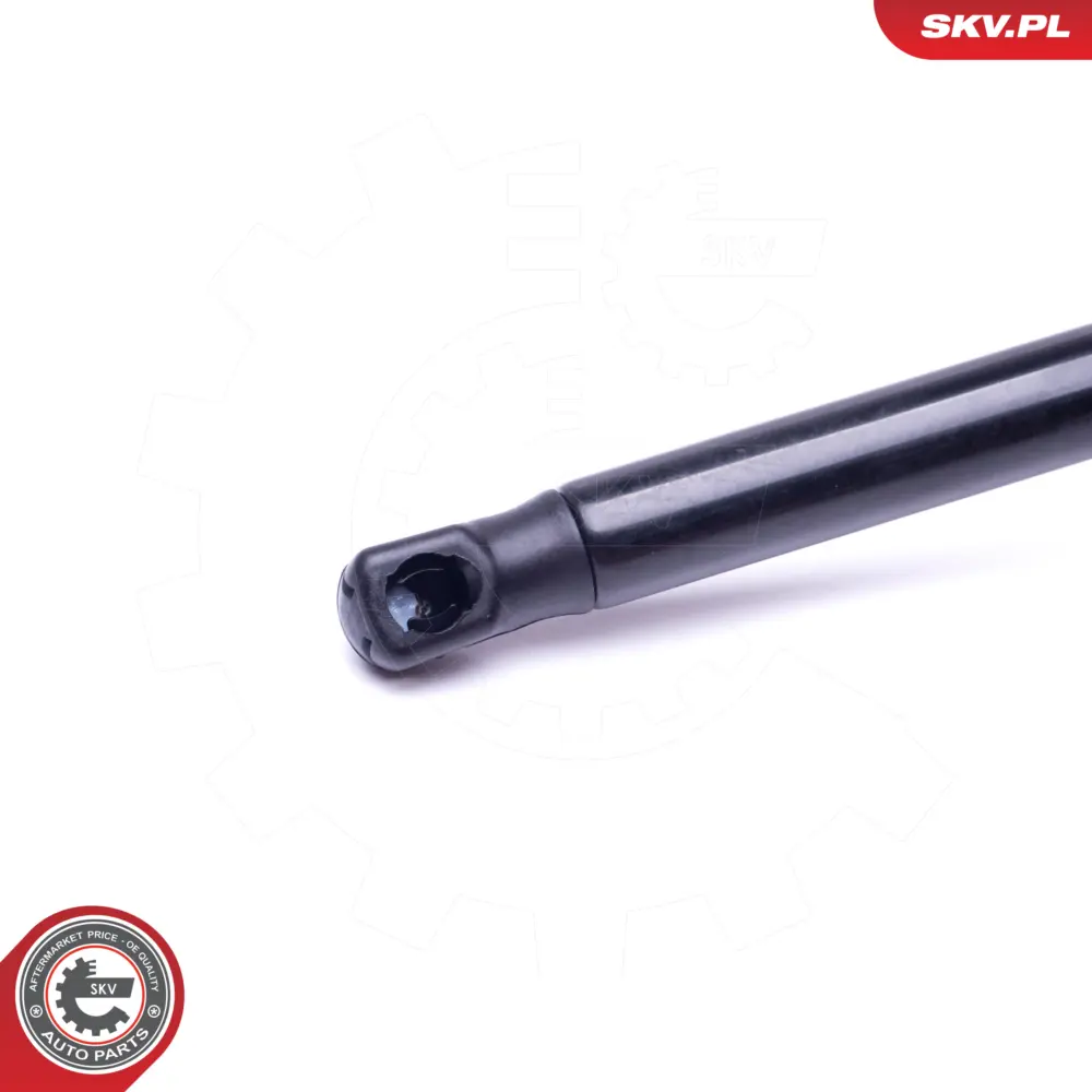Portellone pneumatico, Cofano bagagli per Ford Fusion 1211497