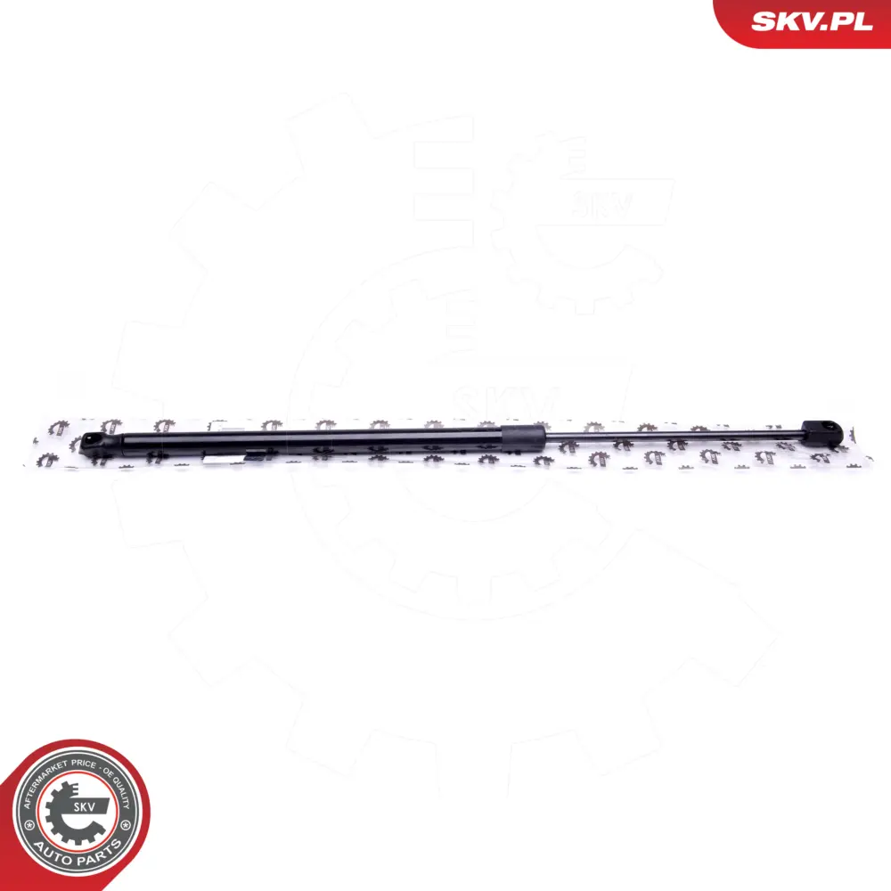 Portellone pneumatico, Cofano bagagli per Ford Fusion 1211497