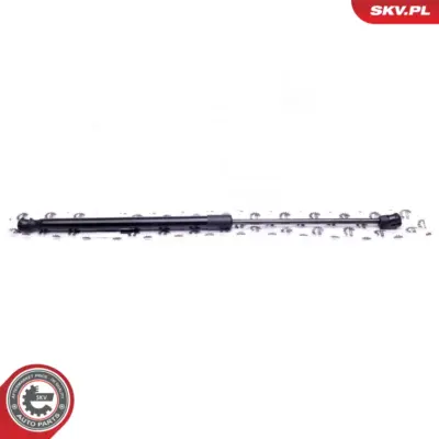 Portellone pneumatico, Cofano bagagli per Mini Mini (R50 R53) 41626801258