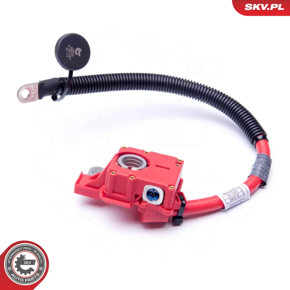 Positivo batteria cavo per BMW X5 (E70) X6 (E71 E72) 61129217004