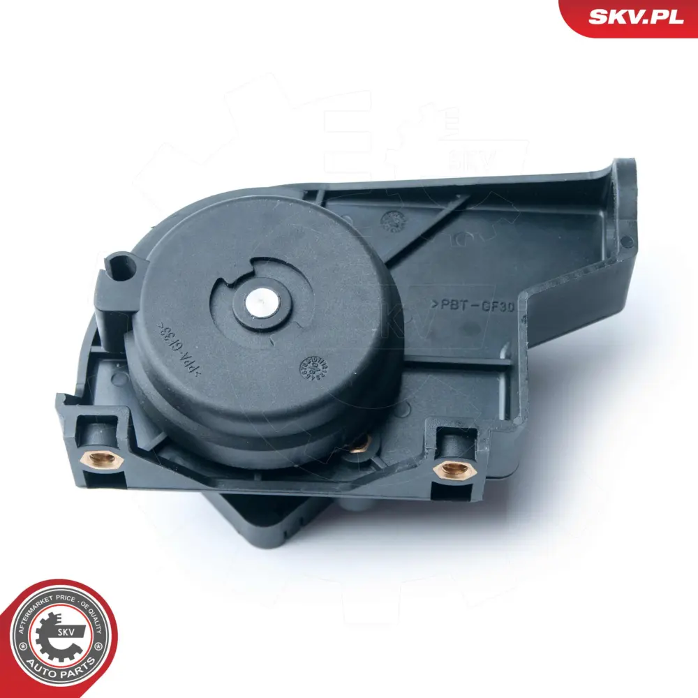 Potenziometro dell'acceleratore per Citroën Jumpy II Van Jumpy II (VF7) 19209W