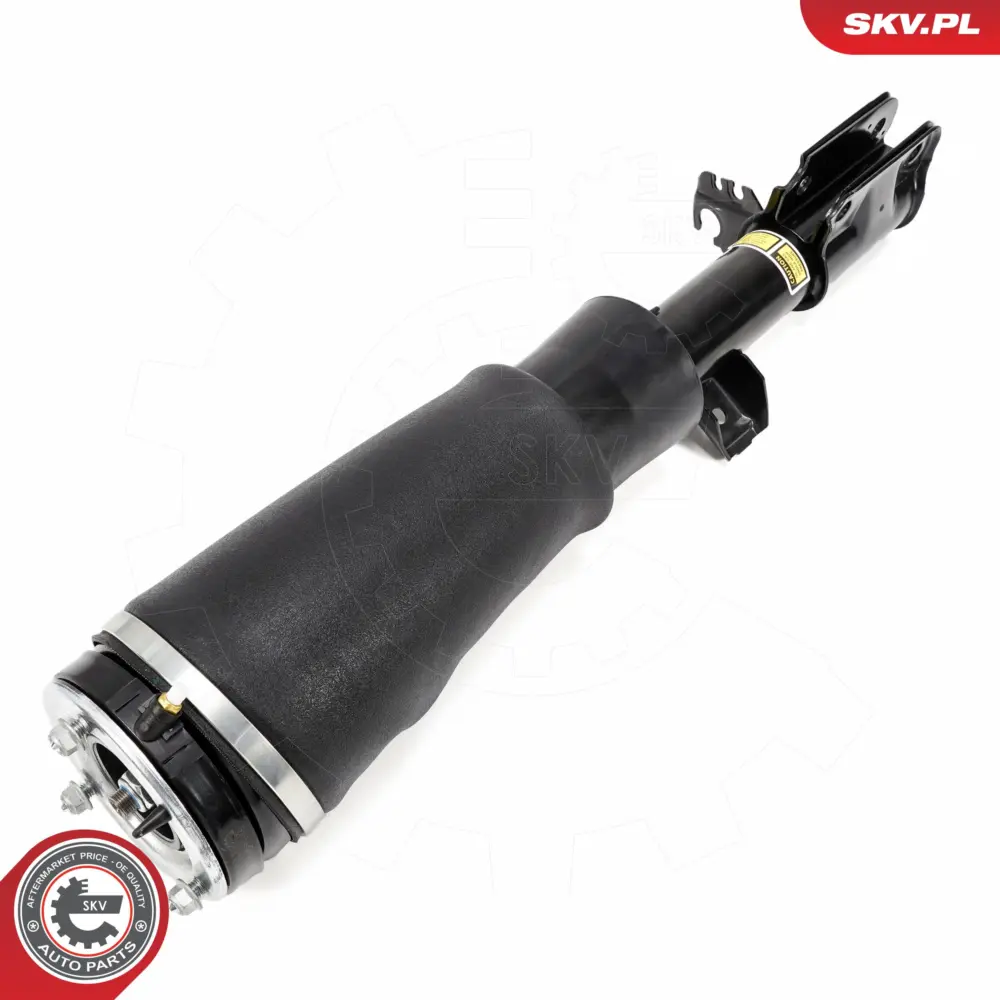 Puntone a molla d'aria per Land Rover Range Rover III (L322) RGX000920