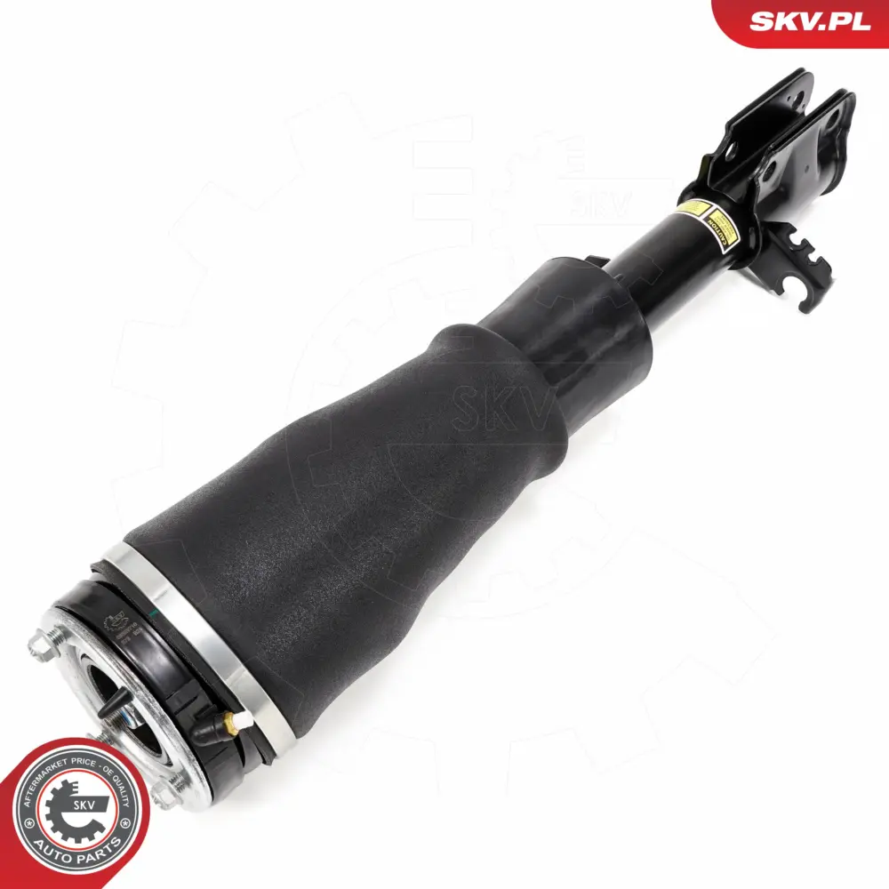Puntone a molla d'aria per Land Rover Range Rover III (L322) RNB000740