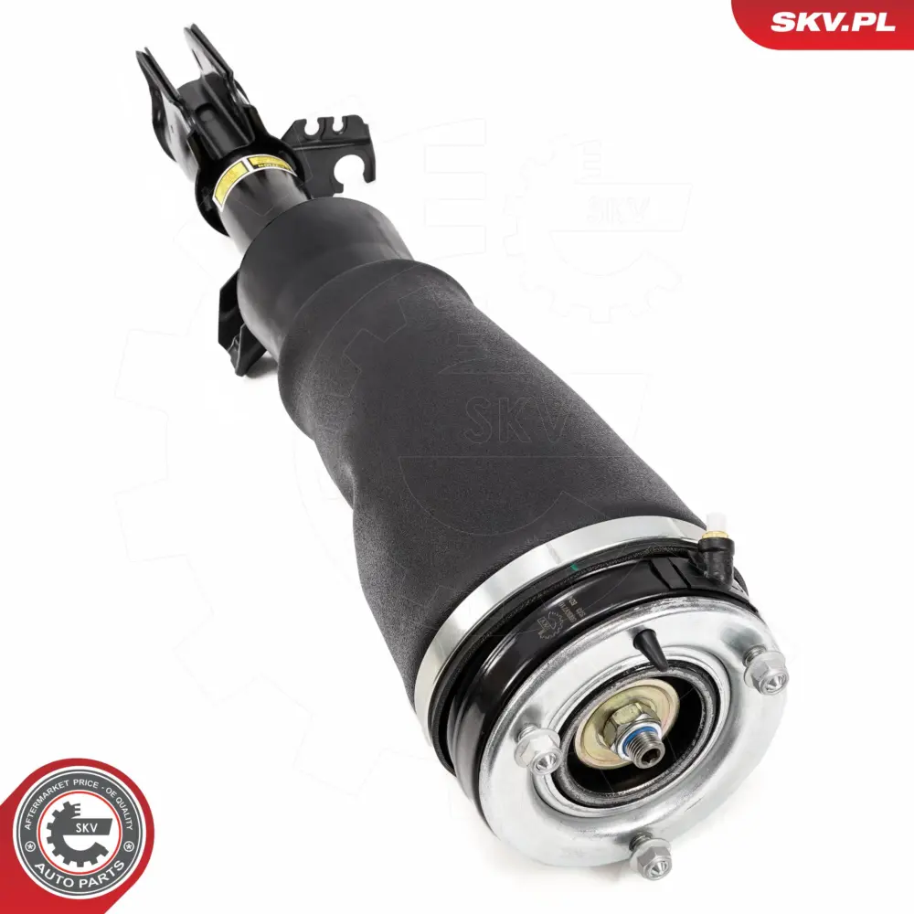 Puntone a molla d'aria per Land Rover Range Rover III (L322) RNB000740