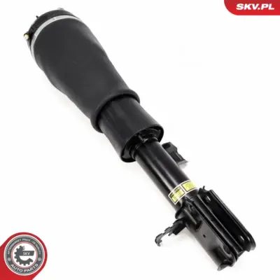 Puntone a molla d'aria per Land Rover Range Rover III (L322) RNB000740