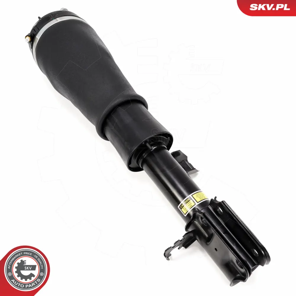 Puntone a molla d'aria per Land Rover Range Rover III (L322) RNB000740