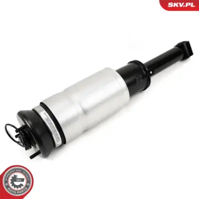 Puntone a molla d'aria per Land Rover Range Rover Sport I (L320) 5H325E032AD