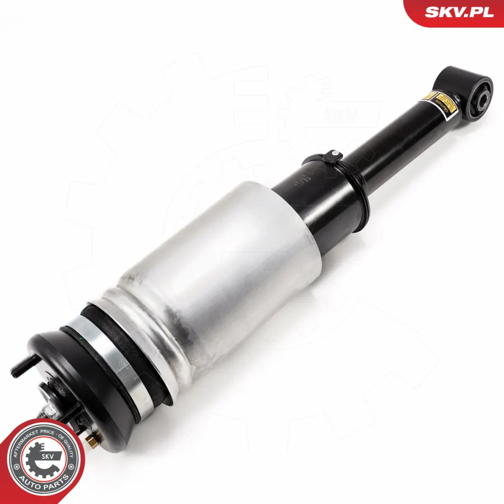 Puntone a molla d'aria per Land Rover Range Rover Sport I (L320) LR016414