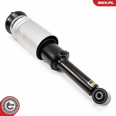 Puntone a molla d'aria per Land Rover Range Rover Sport I (L320) LR016414