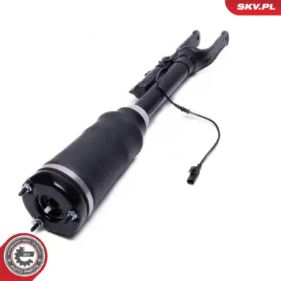 Puntone a molla d'aria per Mercedes Classe M (W164) Gl-class (X164) 1643204413