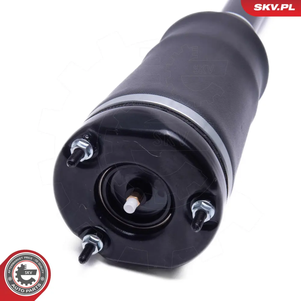 Puntone a molla d'aria per Mercedes Classe M (W164) Gl-class (X164) 1643204513