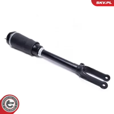 Puntone a molla d'aria per Mercedes Classe M (W164) Gl-class (X164) 1643204513