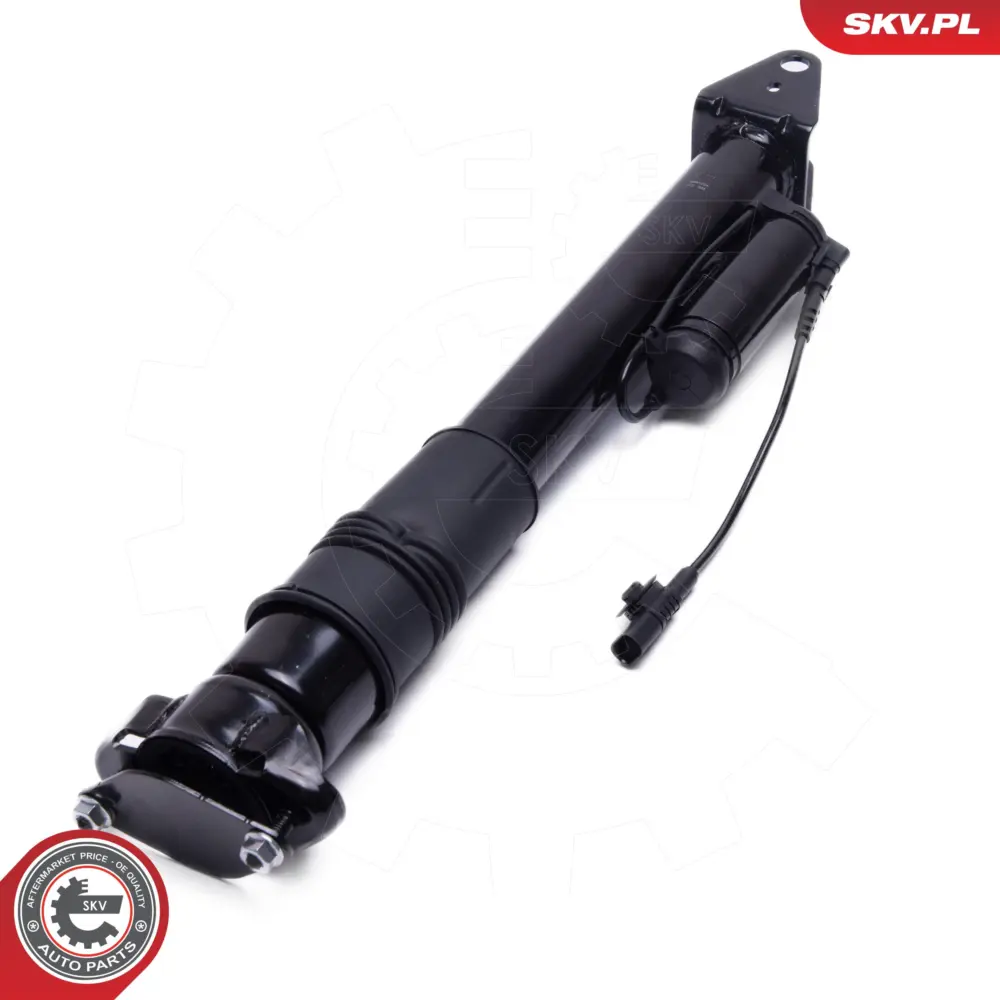 Puntone a molla d'aria per Mercedes Classe R (W251 V251) 2513200931