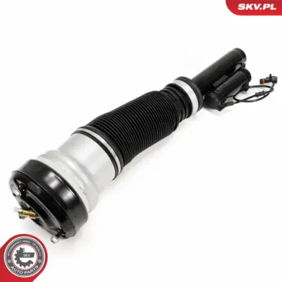 Puntone a molla d'aria per Mercedes Classe S (W220 V220) 2203202438