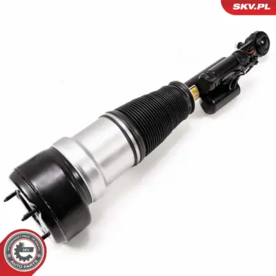 Puntone a molla d'aria per Mercedes Classe S (W221 V221) 2213200138