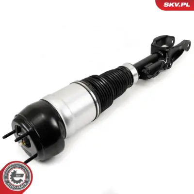 Puntone a molla d'aria per Mercedes GLE (W166) Classe M (W166) 1663200400