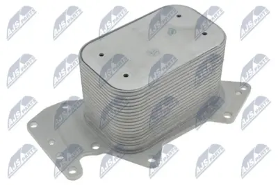 Radiatore Olio Anteriore per Audi A4 B6 B7 2.7 3.0 TDI 05-09