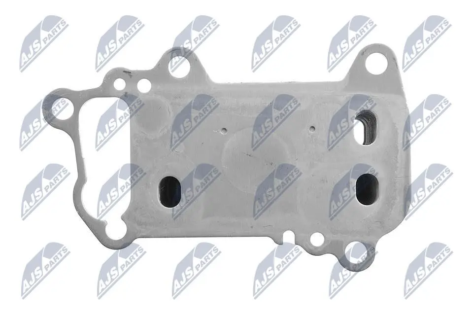 Radiatore Olio Anteriore per BMW 3 E90 316d 318d 320d 2007- X3 E83 20d Xdrive