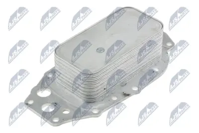 Radiatore Olio Anteriore per Citroen C5 Iii 2.7 HDI 05