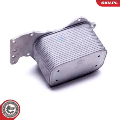 Radiatore Olio, Olio Motore per Audi A6 C6 (4F2) A6 C6 Avant (4F5) 059 117 021 K