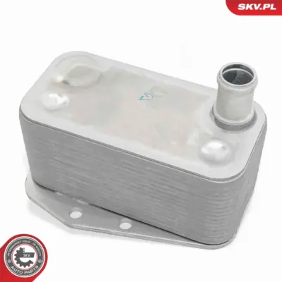 Radiatore Olio, Olio Motore per BMW Serie 3 (E46) 5 (E39) 1 (E87) 11427787698