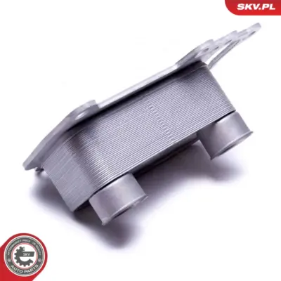Radiatore Olio, Olio Motore per BMW Serie 3 (E93) 1 (E88) X1 (E84) 11427802113