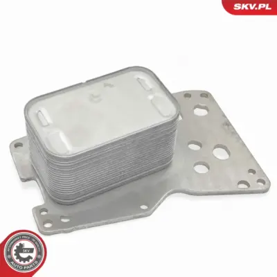 Radiatore Olio, Olio Motore per BMW Serie 3 (E93 E92) 1 (F20) 11 42 8 507 626