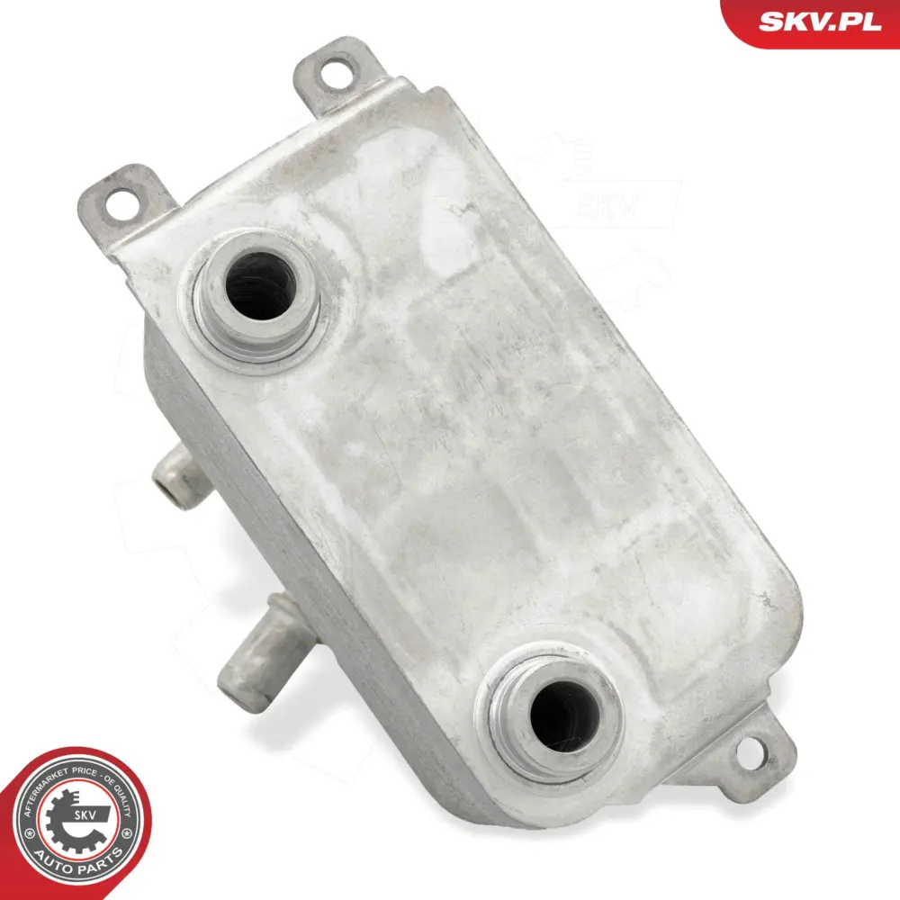 Radiatore Olio, Olio Motore per BMW Serie 5 (E60) 7 (E65) 6 (E64) 1721 7 507 974