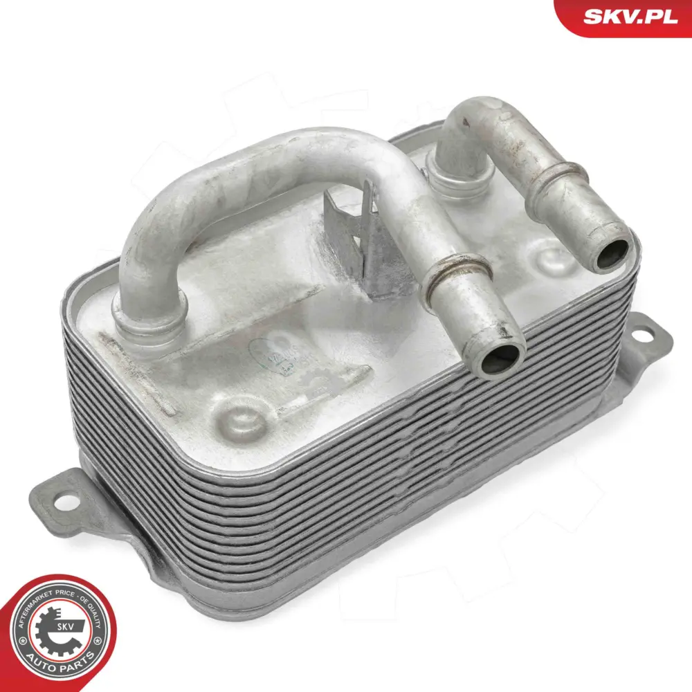 Radiatore Olio, Olio Motore per BMW Serie 5 (E60) 7 (E65) 6 (E64) 1721 7 507 974