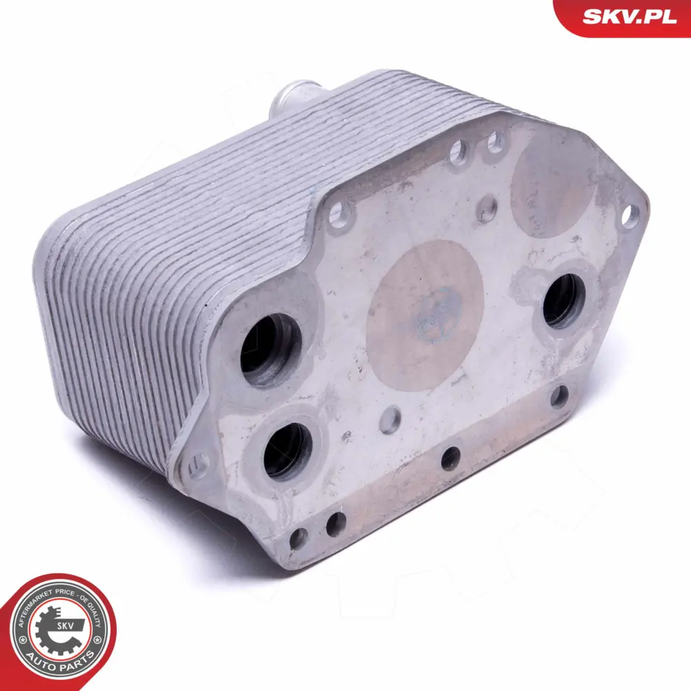 Radiatore Olio, Olio Motore per BMW Serie 5 (E60 E61) 3 (E46) 11 42 7 788 462