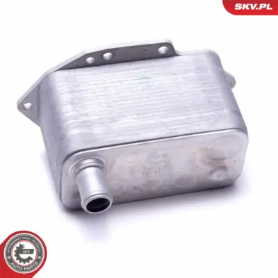 Radiatore Olio, Olio Motore per BMW Serie 5 (E60 E61) 3 (E46) 11 42 7 788 462
