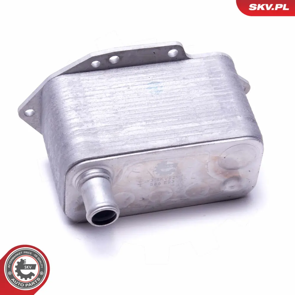Radiatore Olio, Olio Motore per BMW Serie 5 (E60 E61) 3 (E46) 11 42 7 788 462