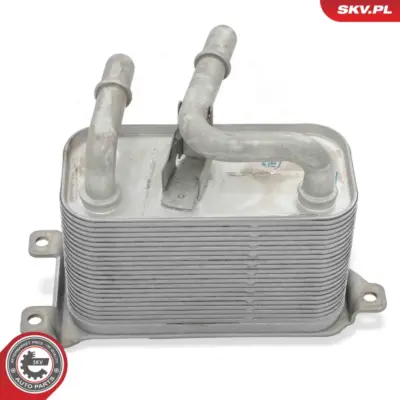 Radiatore Olio, Olio Motore per BMW X5 (E53) 17117534896