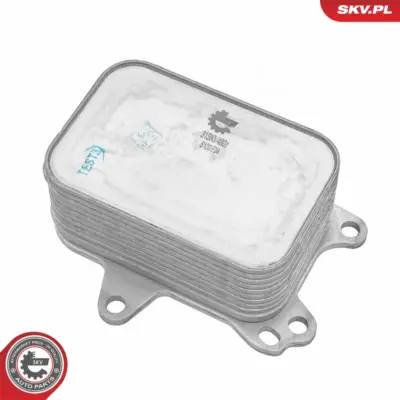 Radiatore Olio, Olio Motore per Citroën Berlingo Box Body/MPV (B9) DS5 3646429