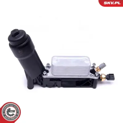 Radiatore Olio, Olio Motore per Dodge Charger Journey Durango (WD) 00K05184294AC