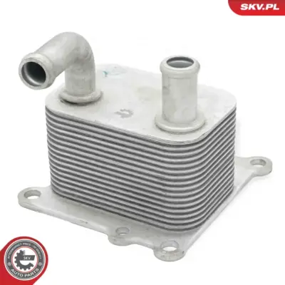 Radiatore Olio, Olio Motore per Ford Focus I (DAW DBW) Tourneo Connect 1 119 975