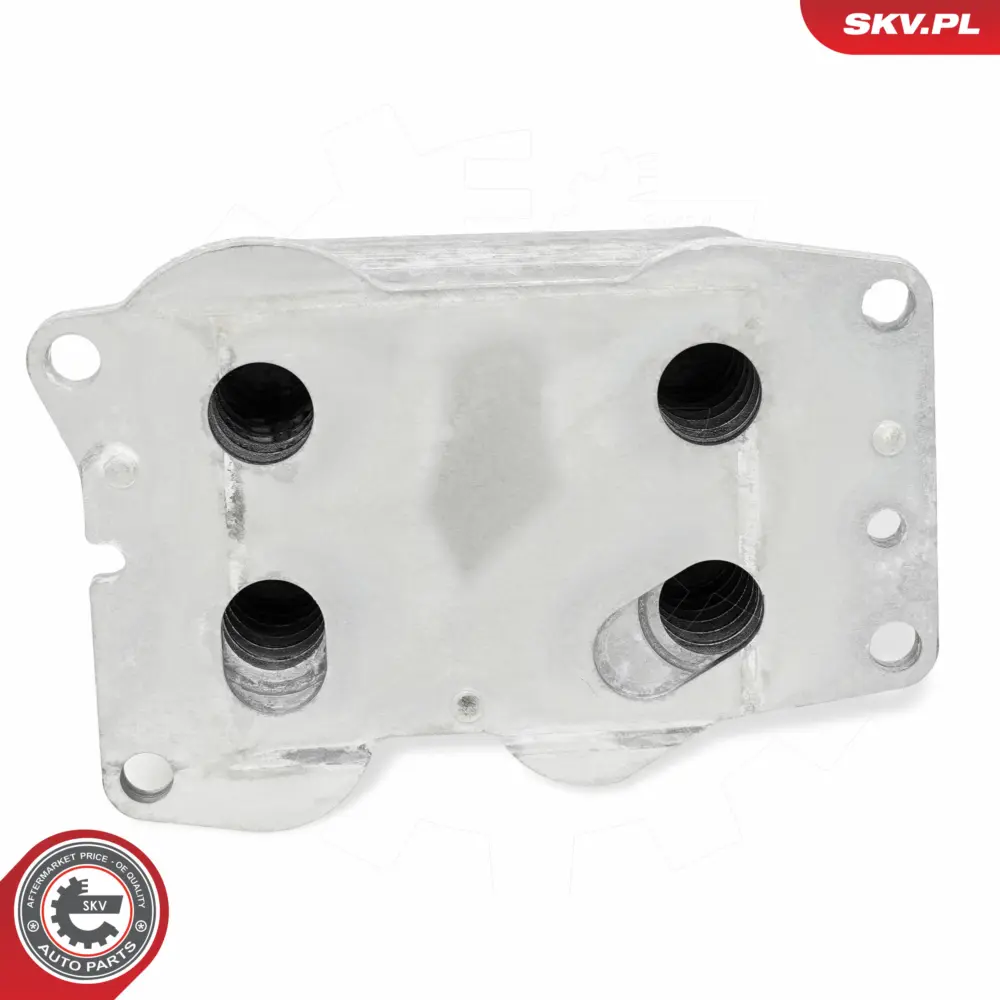 Radiatore Olio, Olio Motore per Ford Focus III Kuga II (DM2) C-max (DM2) 1103.L3
