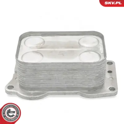 Radiatore Olio, Olio Motore per Ford Focus III Kuga II (DM2) C-max (DM2) 1103.L3