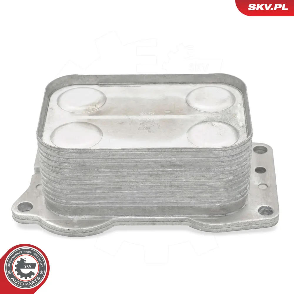 Radiatore Olio, Olio Motore per Ford Focus III Kuga II (DM2) C-max (DM2) 1103.L3