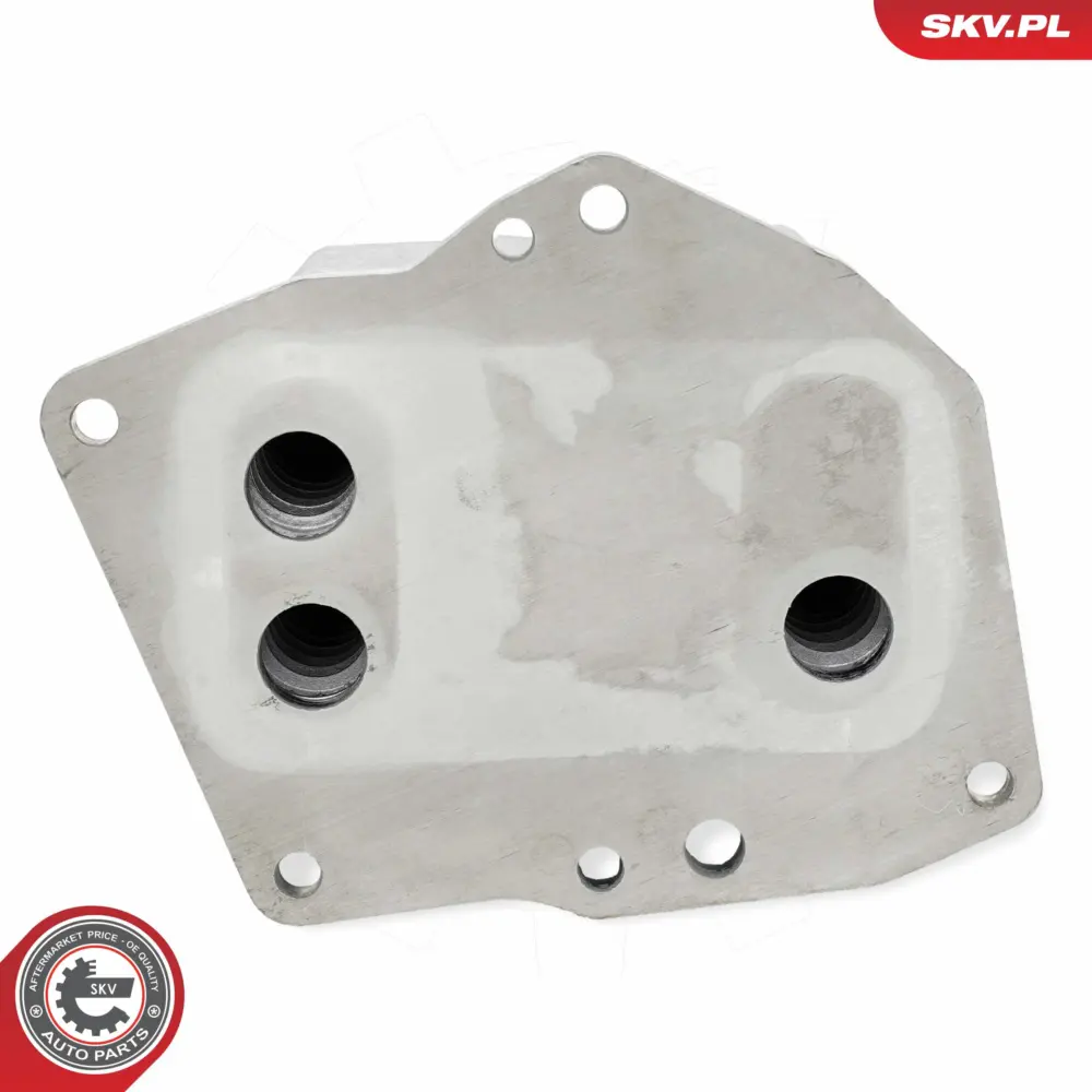 Radiatore Olio, Olio Motore per Ford Ranger (TKE) 1746665
