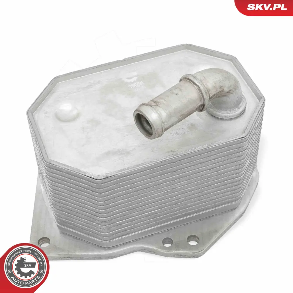 Radiatore Olio, Olio Motore per Ford Ranger (TKE) 1746665