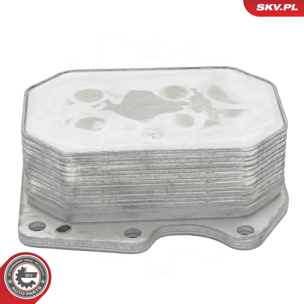Radiatore Olio, Olio Motore per Ford Transit Bus Transit Van 1103.Q1