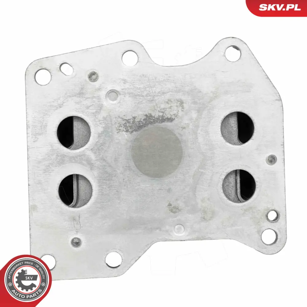Radiatore Olio, Olio Motore per Ford Transit Bus Transit Van 1103.Q1