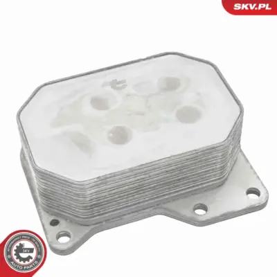 Radiatore Olio, Olio Motore per Ford Transit Bus Transit Van 1103.Q1