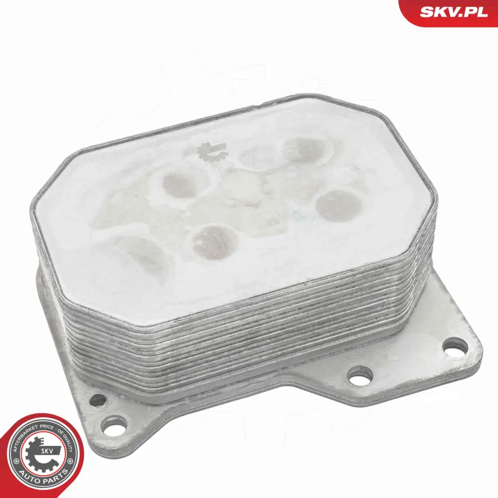 Radiatore Olio, Olio Motore per Ford Transit Bus Transit Van 1103.Q1