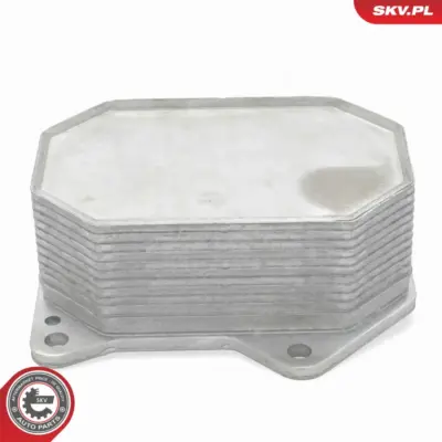 Radiatore Olio, Olio Motore per Ford Transit V363 Van (FCD) Transit Bus 1103Q1