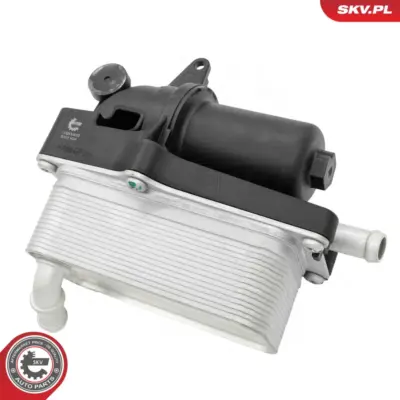 Radiatore Olio, Olio Motore per Mercedes Classe A (W176) 2465010101