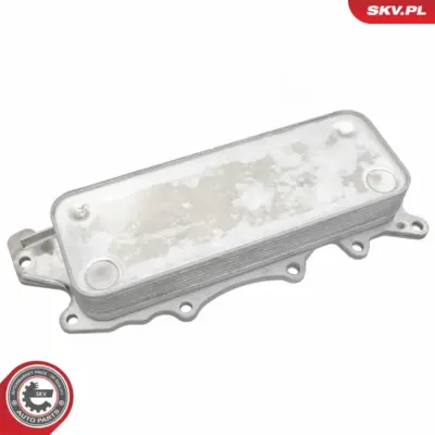 Radiatore Olio, Olio Motore per Mercedes Classe E T-Model (S211) 642 180 01 65